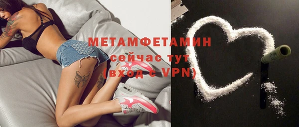 прущие грибы Аркадак