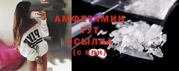 прущие грибы Аркадак