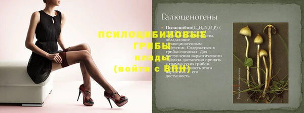 эйфоретик Армянск