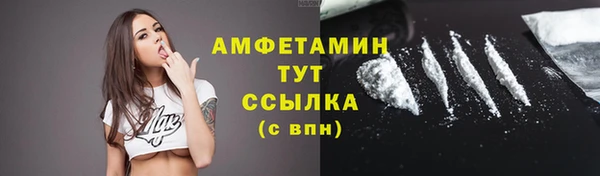 прущие грибы Аркадак