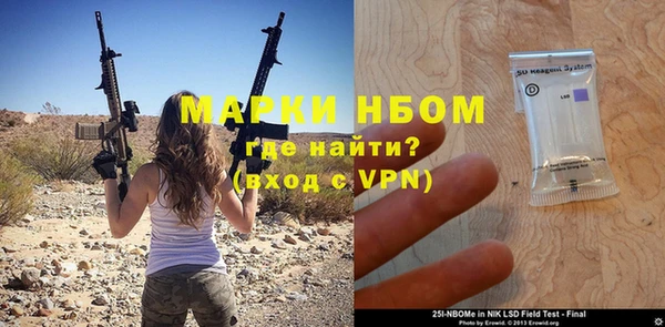 прущие грибы Аркадак