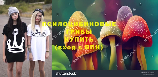 прущие грибы Аркадак
