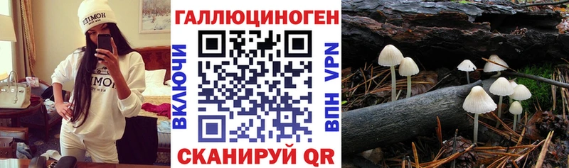 KRAKEN ONION  Сычёвка  Псилоцибиновые грибы Psilocybine cubensis 